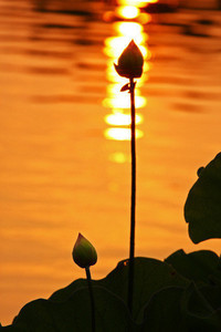 绿衫军痛失季后赛资格，多场惨败无缘晋级