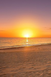 托特纳姆热刺被沃特福德逆袭，惨失胜利