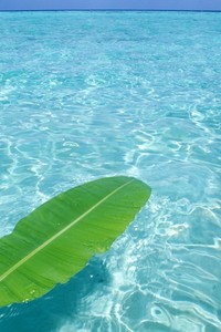 拉齐奥客场小胜，助攻手表现抢眼