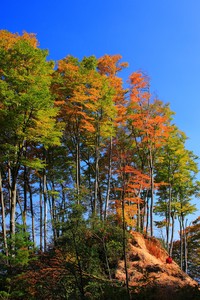 豪情万丈篮球梦想助力成功征程