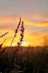 阿贾克斯遭遇困境，冠军梦或成泡影