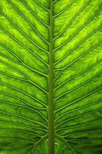 南特内讧升级，对决热刺前景堪忧