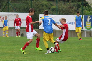 开云官网-基层足球能否成为未来的希望,足球基层教练现状 第2张